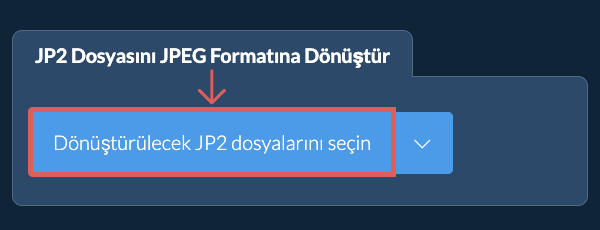 JP2 Dosyasını JPEG Formatına Dönüştür