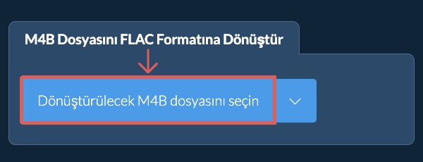 M4B Dosyasını FLAC Formatına Dönüştür