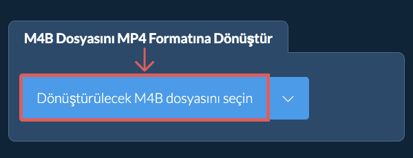 M4B Dosyasını MP4 Formatına Dönüştür