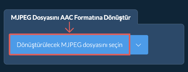 MJPEG Dosyasını AAC Formatına Dönüştür