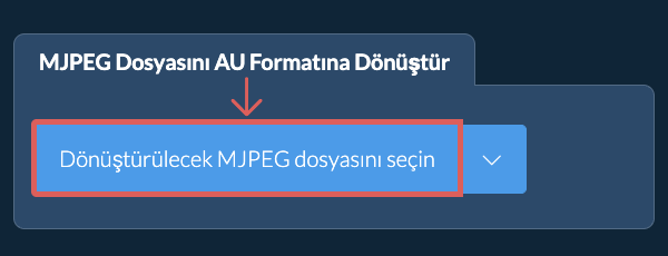 MJPEG Dosyasını AU Formatına Dönüştür