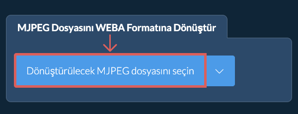 MJPEG Dosyasını WEBA Formatına Dönüştür