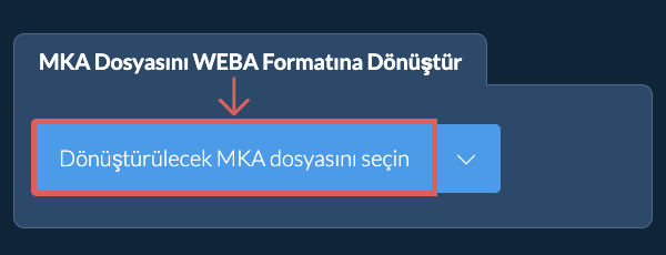 MKA Dosyasını WEBA Formatına Dönüştür