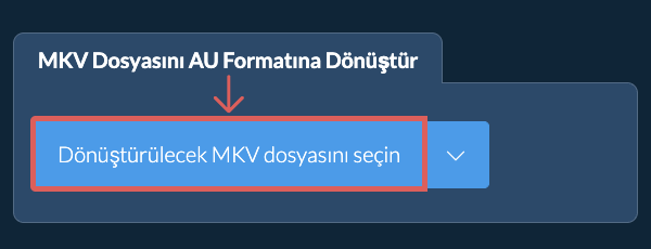 MKV Dosyasını AU Formatına Dönüştür