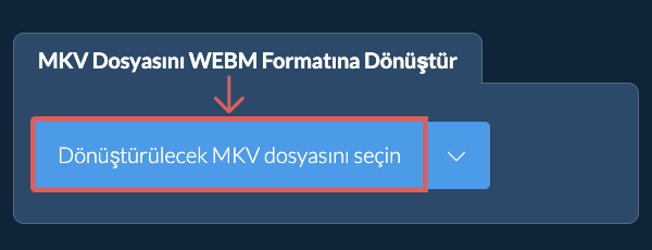 MKV Dosyasını WEBM Formatına Dönüştür
