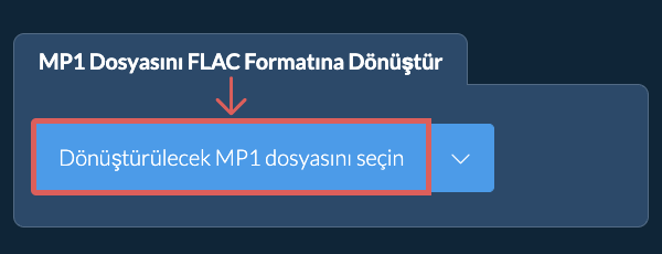 MP1 Dosyasını FLAC Formatına Dönüştür