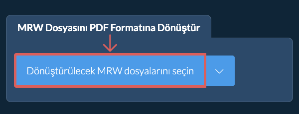 MRW Dosyasını PDF Formatına Dönüştür