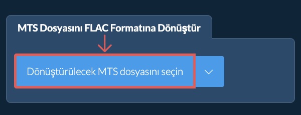 MTS Dosyasını FLAC Formatına Dönüştür