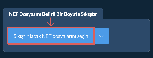 NEF Dosyasını belirli bir KB Boyutuna Çevrimiçi Sıkıştır