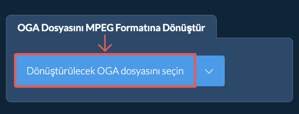 OGA Dosyasını MPEG Formatına Dönüştür