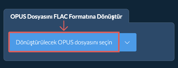 OPUS Dosyasını FLAC Formatına Dönüştür