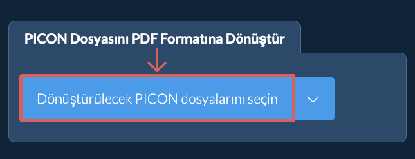PICON Dosyasını PDF Formatına Dönüştür