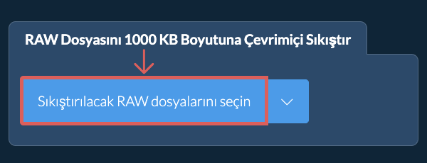 RAW Dosyasını 1000 KB Boyutuna Çevrimiçi Sıkıştır