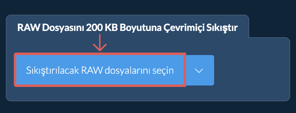 RAW Dosyasını 200 KB Boyutuna Çevrimiçi Sıkıştır