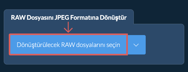 RAW Dosyasını JPEG Formatına Dönüştür