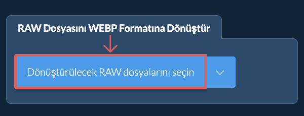 RAW Dosyasını WEBP Formatına Dönüştür