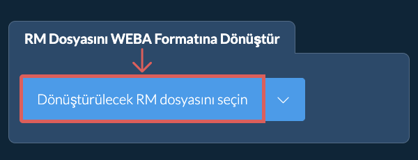 RM Dosyasını WEBA Formatına Dönüştür
