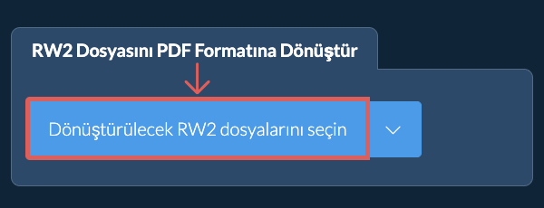 RW2 Dosyasını PDF Formatına Dönüştür