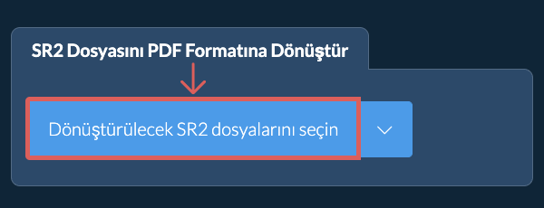 SR2 Dosyasını PDF Formatına Dönüştür