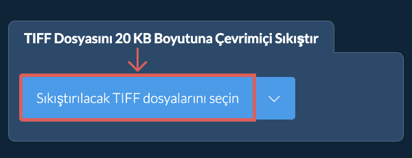 TIFF Dosyasını 20 KB Boyutuna Çevrimiçi Sıkıştır