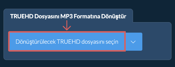 TRUEHD Dosyasını MP3 Formatına Dönüştür