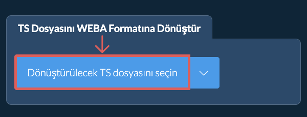 TS Dosyasını WEBA Formatına Dönüştür