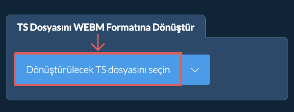 TS Dosyasını WEBM Formatına Dönüştür
