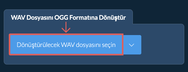 WAV Dosyasını OGG Formatına Dönüştür