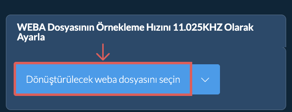 Dönüştürülecek weba dosyasını seçin