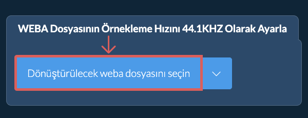 Dönüştürülecek weba dosyasını seçin