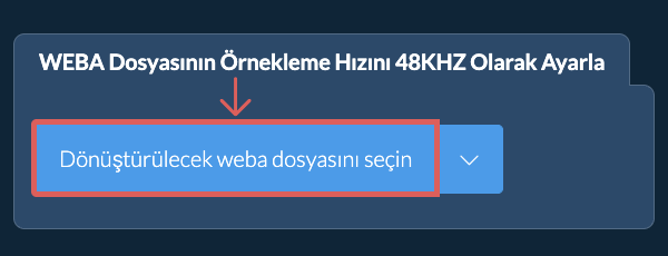 Dönüştürülecek weba dosyasını seçin