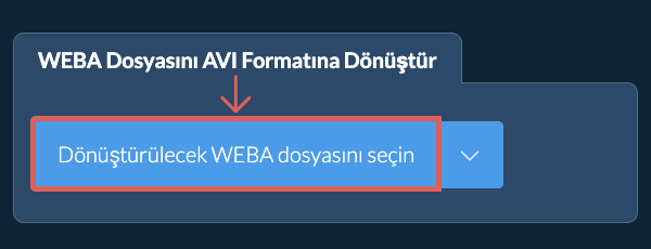 WEBA Dosyasını AVI Formatına Dönüştür