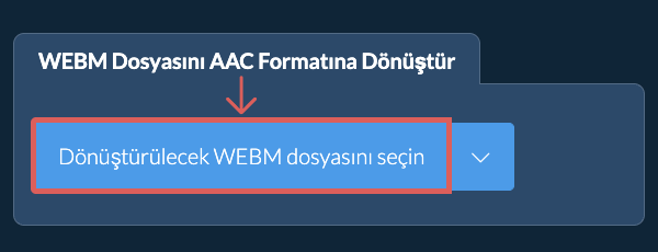 WEBM Dosyasını AAC Formatına Dönüştür