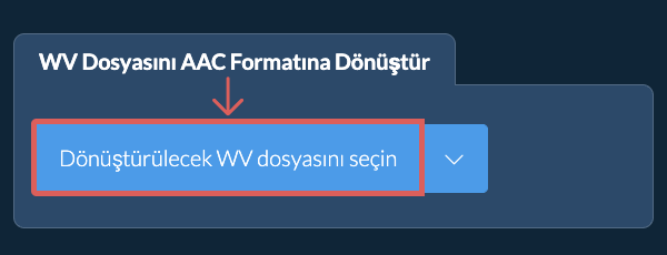 WV Dosyasını AAC Formatına Dönüştür