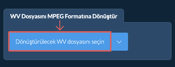 WV Dosyasını MPEG Formatına Dönüştür