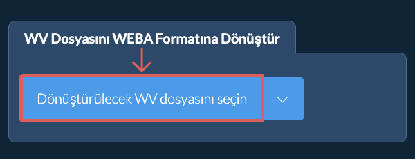 WV Dosyasını WEBA Formatına Dönüştür