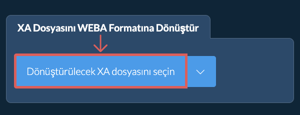 XA Dosyasını WEBA Formatına Dönüştür