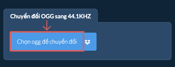 Chọn ogg để chuyển đổi