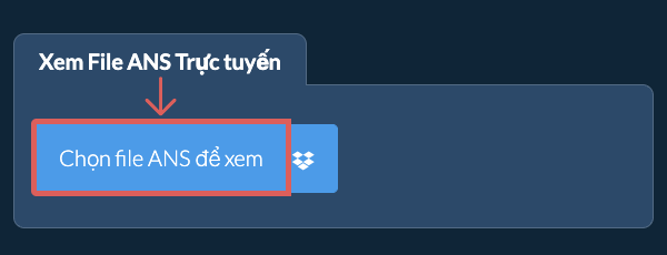 Xem File ANS Trực tuyến