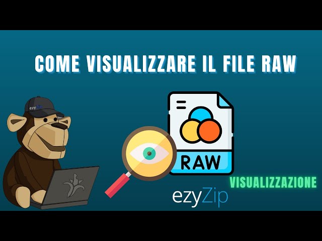 Come Visualizzare i File raw Online