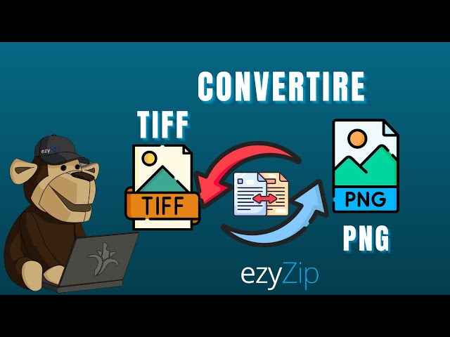 Come Convertire AVIF In JPEG In Pochi Secondi!