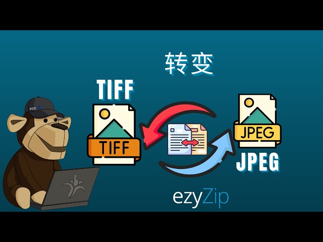 🖼 如何将TIFF转换为JPEG