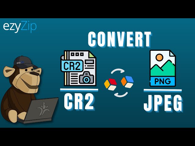 How To Convert Canon CR2 to JPEG In Seconds!