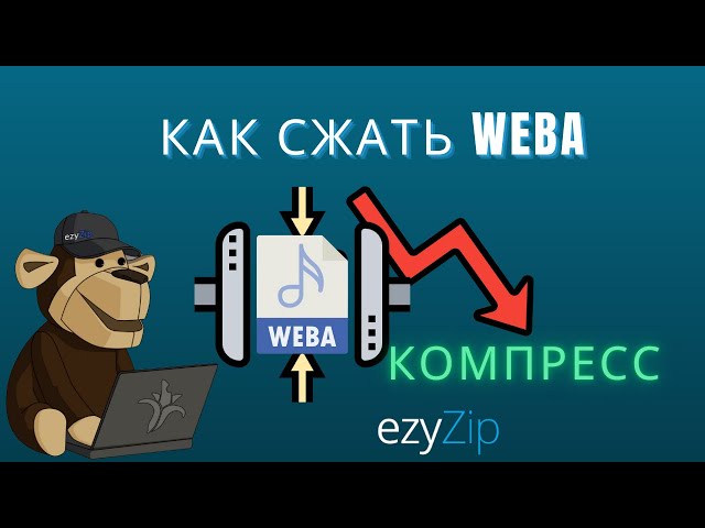 Руководство по компрессору weba | Уменьшение размера файлов weba