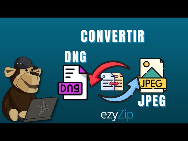 ¡Cómo Convertir DNG a JPEG en Segundos!
