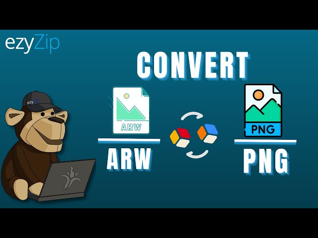 How To Convert ARW to PNG In Seconds!