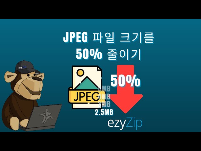 cr2의 크기를 백분율로 줄이는 방법