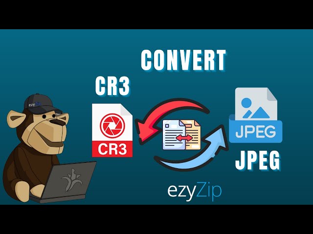 How To Convert Canon CR3 to JPEG In Seconds!